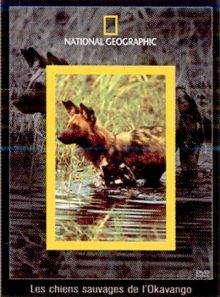 National geographic - les chiens sauvages de l'okavango