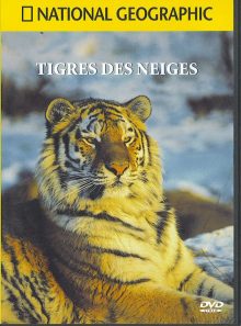Tigres des neiges - national geographic