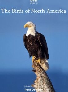 The birds of north america [dvd] (coffret de 2 dvd)