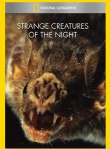 Strange creatures of the night