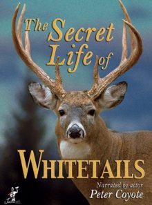 Secret life of whitetails, the
