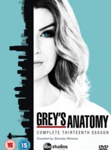 Greys anatomy complete thirteenth season