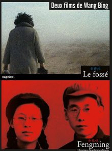 Le deux films de wang bing : fossé + fengming : chronique d'une femme chinoise