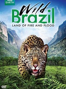 Wild brazil: land of fire and flood