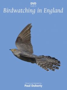 Birdwatching in england