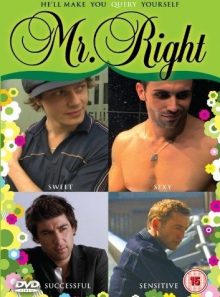 Mr right [import anglais] (import)