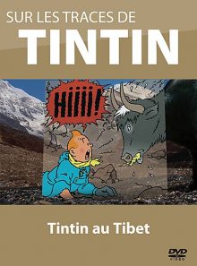 Sur les traces de tintin - vol. 5 : tintin au tibet