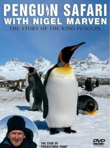 Penguin safari with nigel marven