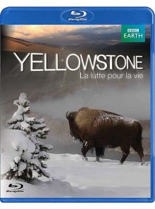 Yellowstone, la lutte pour la vie - blu-ray