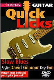 Lick library: quick licks - slow blues david gilmour