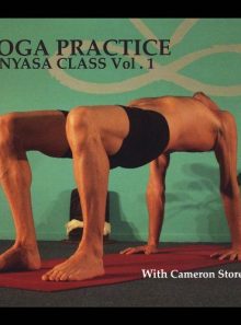 Vinyasa yoga class with cameron storey 1