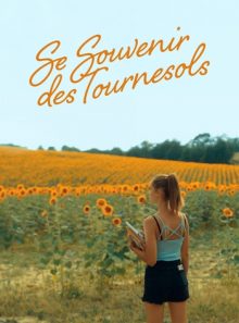 Se souvenir des tournesols