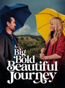 A big bold beautiful journey